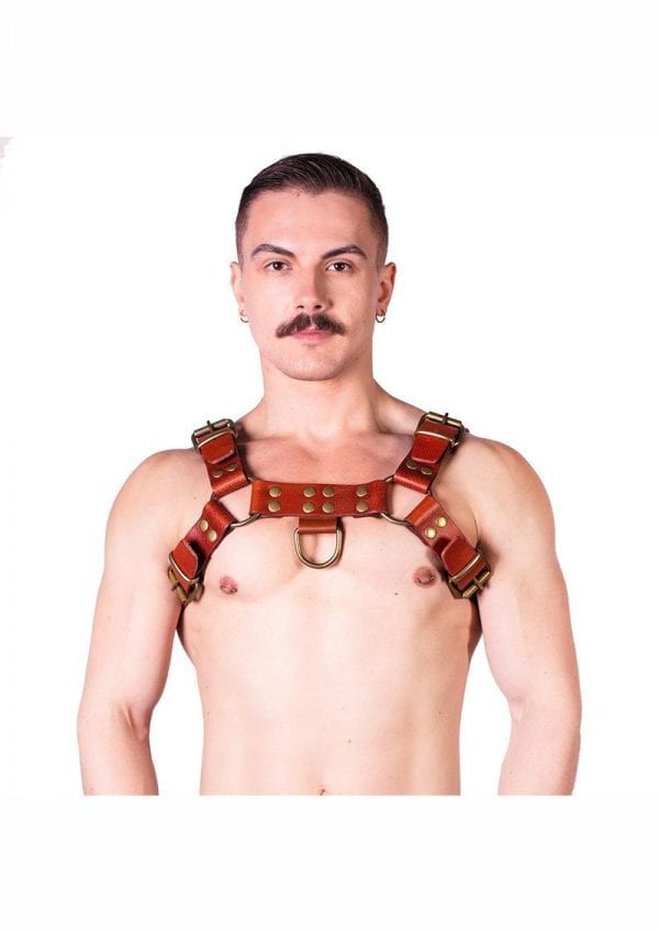 Prowler Red Butch Harness Brn/brs Sm